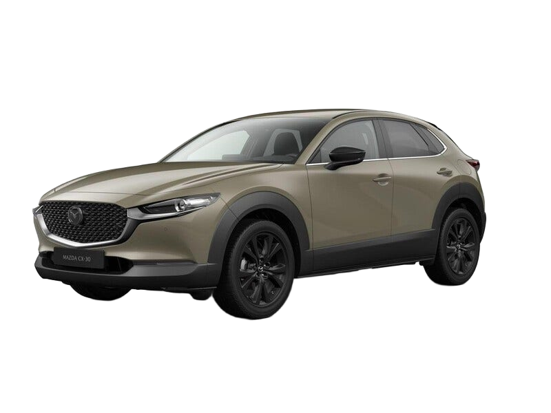 Mazda CX 30 occasion