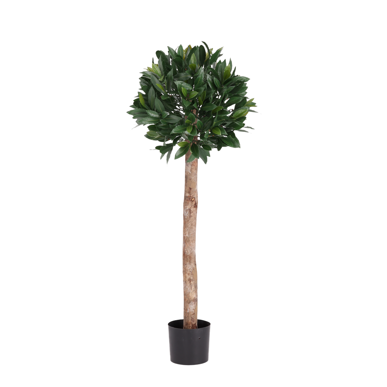 Laurierbol Kunstplant op stam 120cm UV