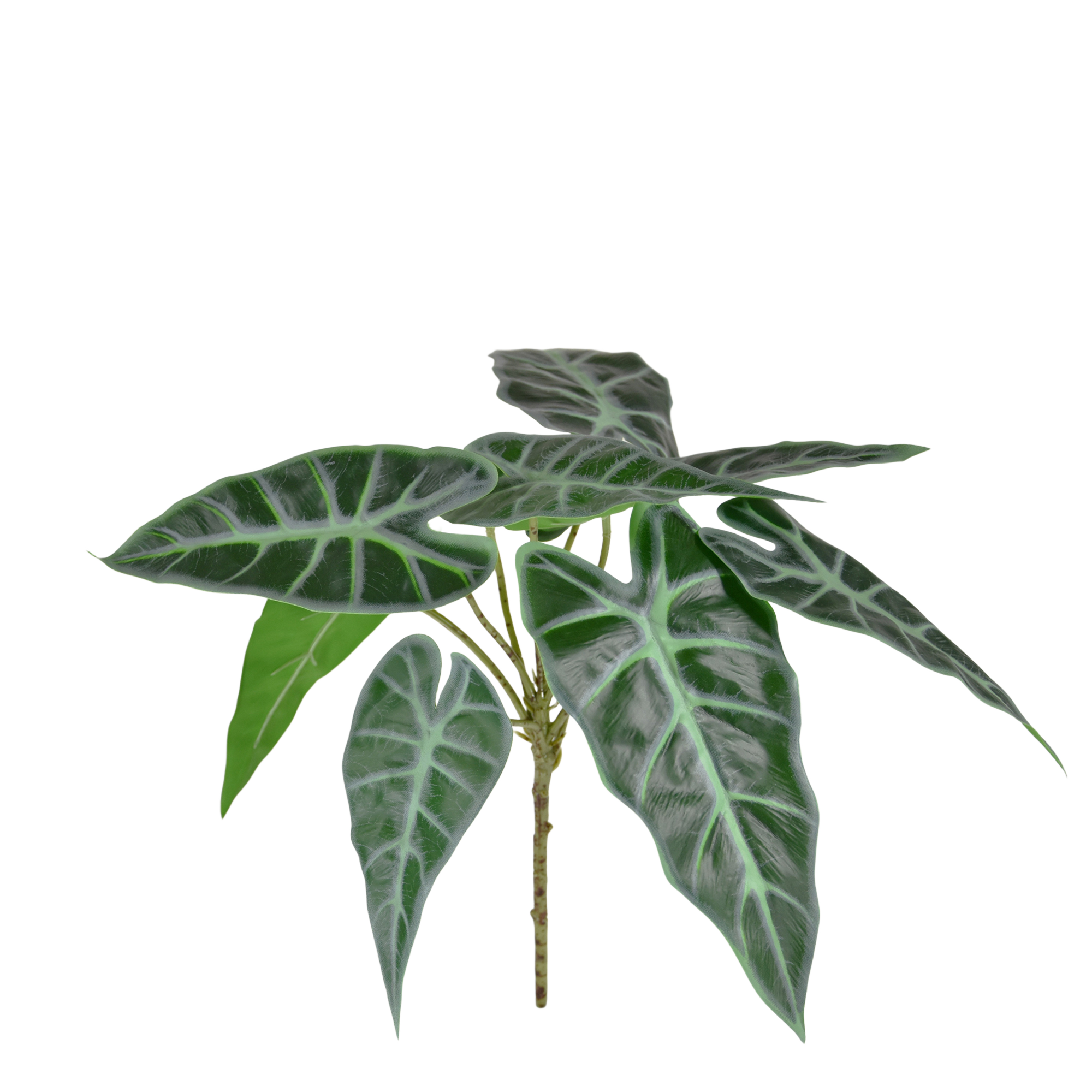 Alocasia Polly kunstplant 30cm