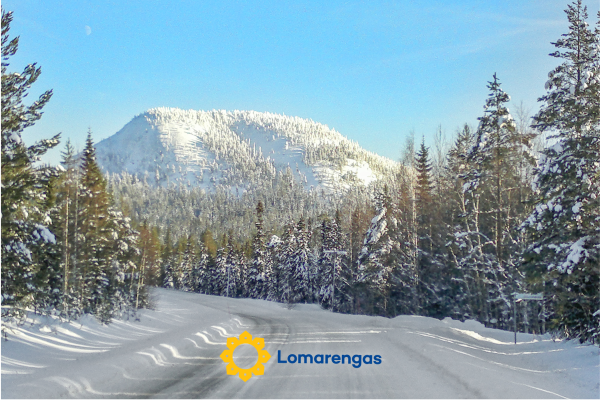 Ruka sinirinta as. 1