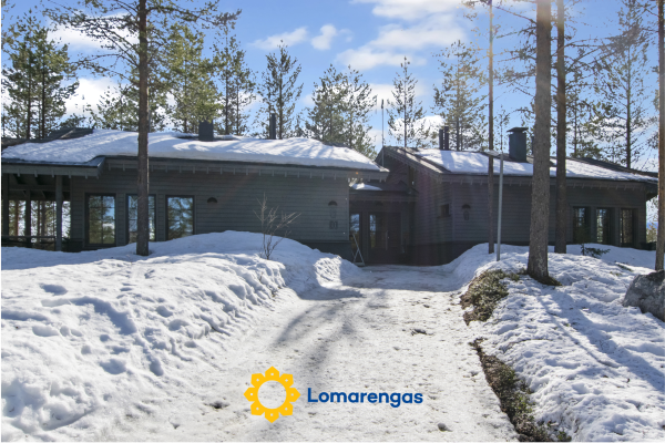 Tunturipöllö 4
