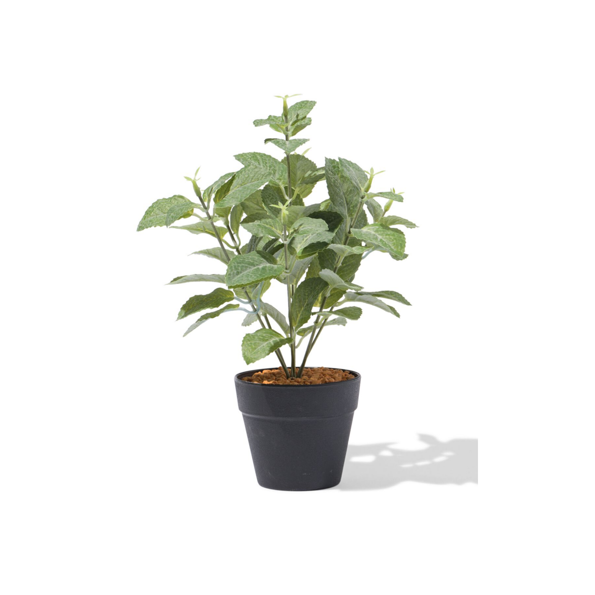 HEMA HEMA Kunstplant ⌀10x10cm Rechtop (groen)