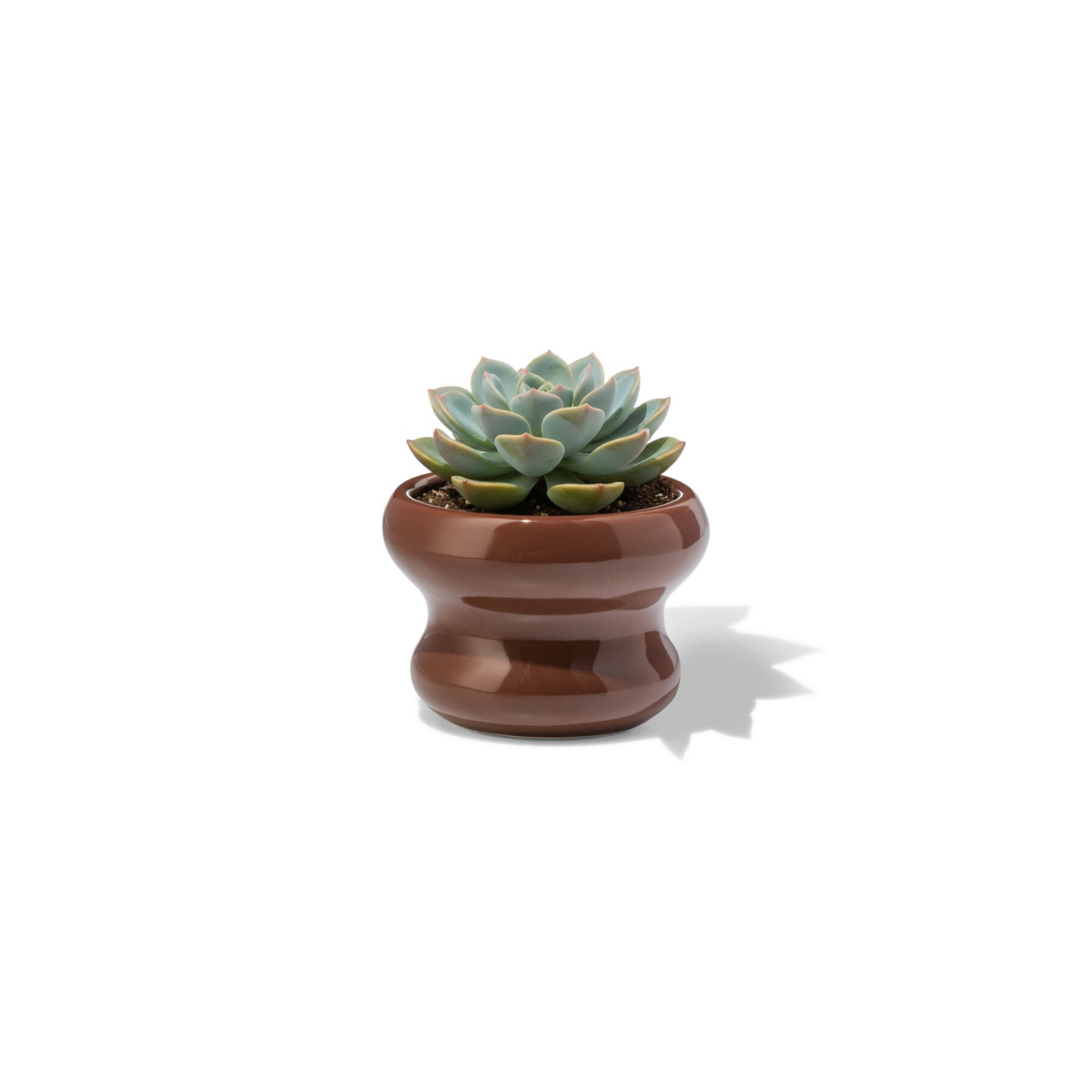 HEMA HEMA Bloempot ⌀13x9cm Keramiek Blob Bruin (donkerbruin)