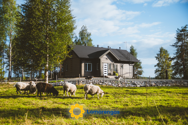 Villa lystikämä