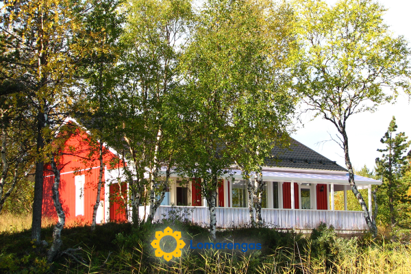 Hopeaniemi