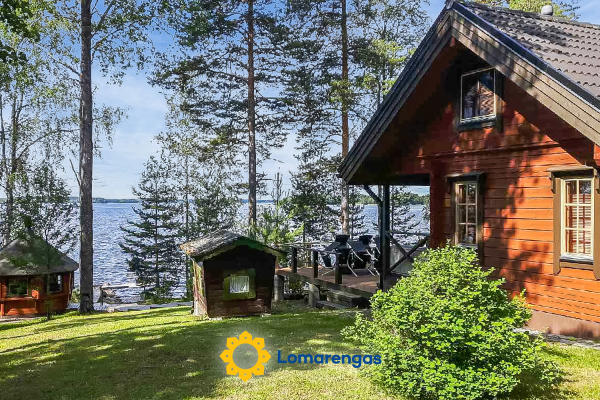 Puolen hehtaarin metsä