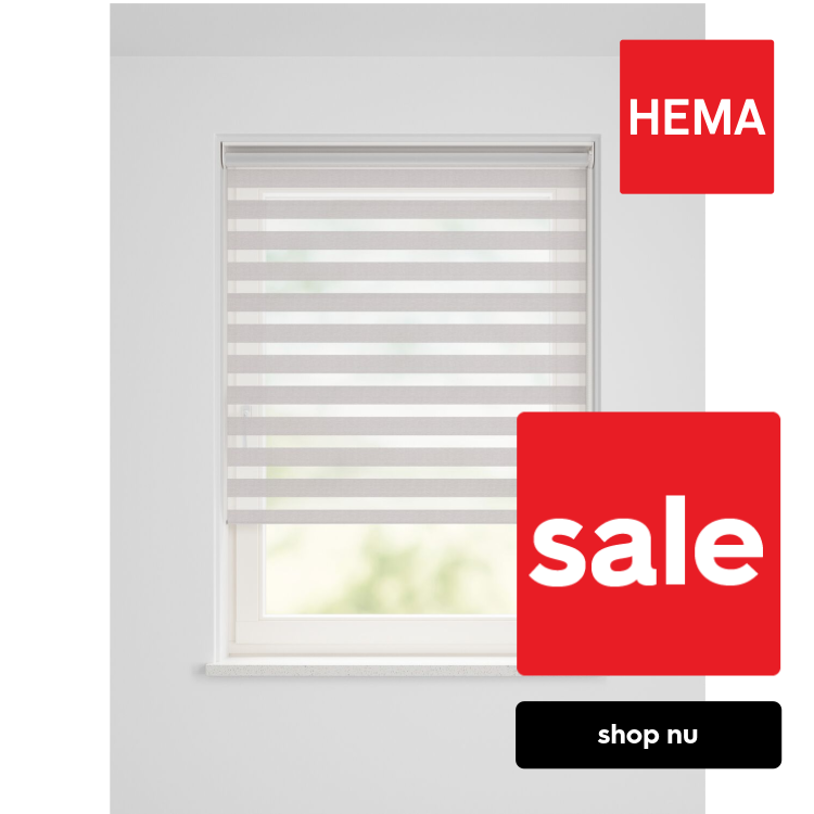 Duo rolgordijn lichtdoorlatend structuur beige (beige)