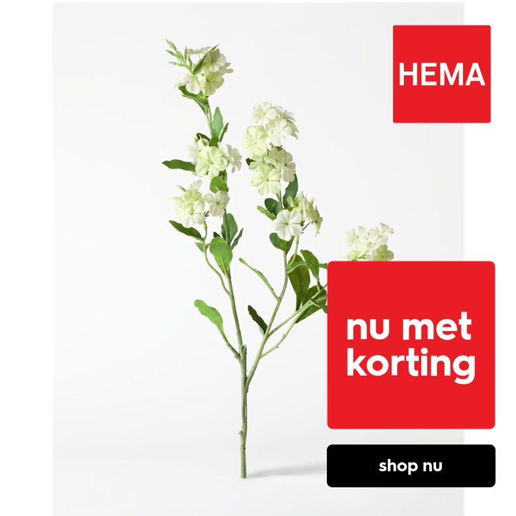 HEMA Kunstbloem 55cm viburnum wit (wit)