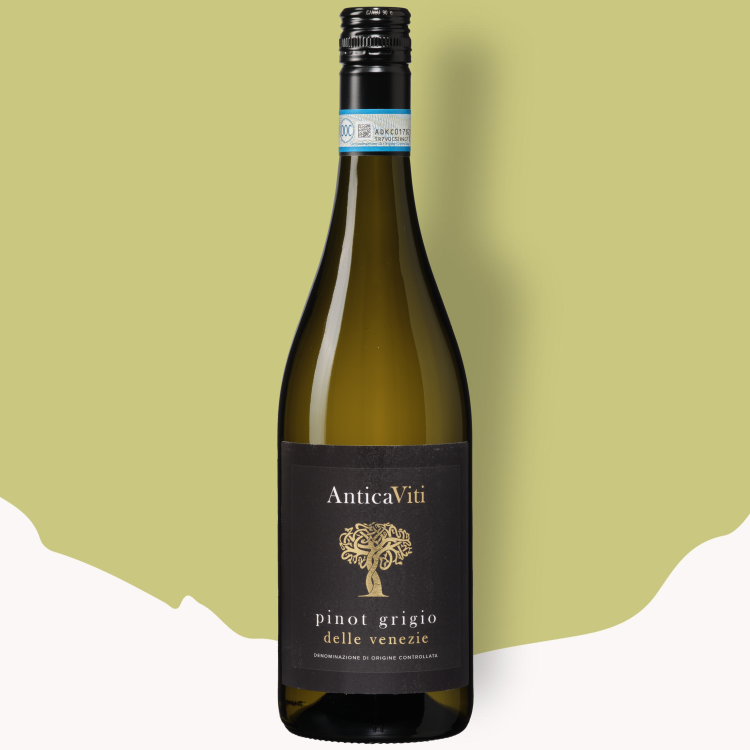 Antica Viti Pinot Grigio delle Venezie 2025