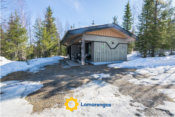 Mustalampi 4 kyyhkynen