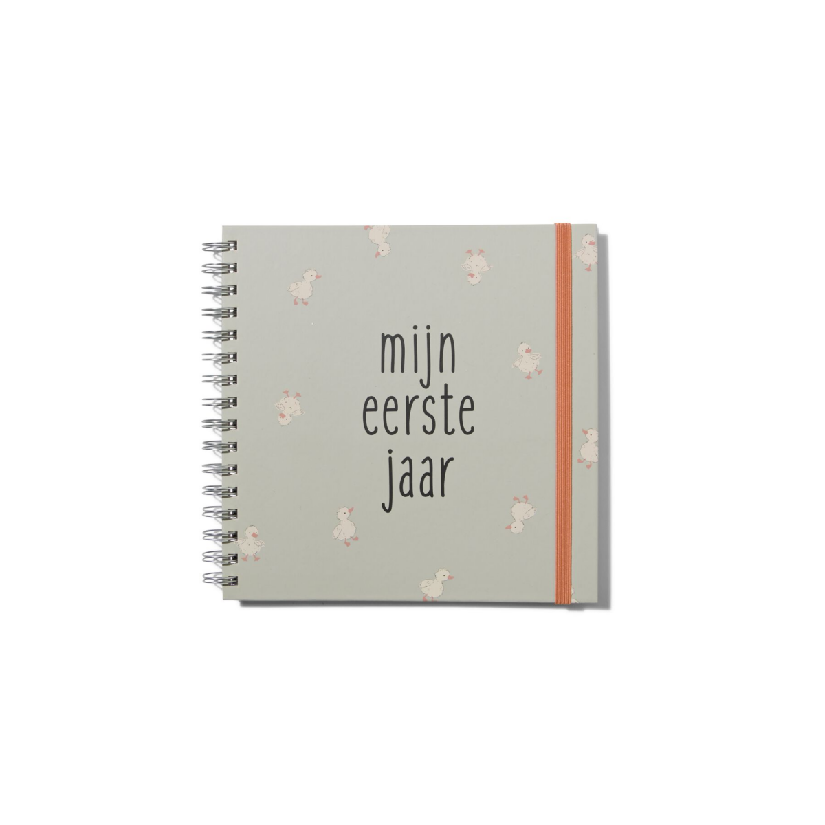 HEMA Babyboek 1e jaar