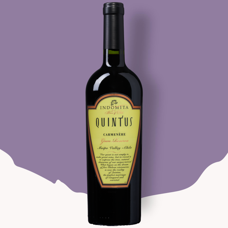 Quintus Gran Reserva Carménère 2023
