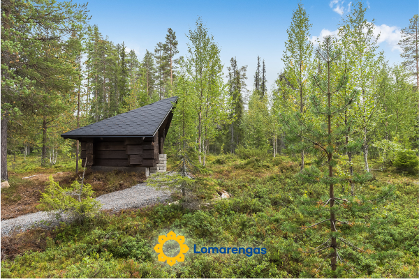 Päivänsäde 8 lapinkulta