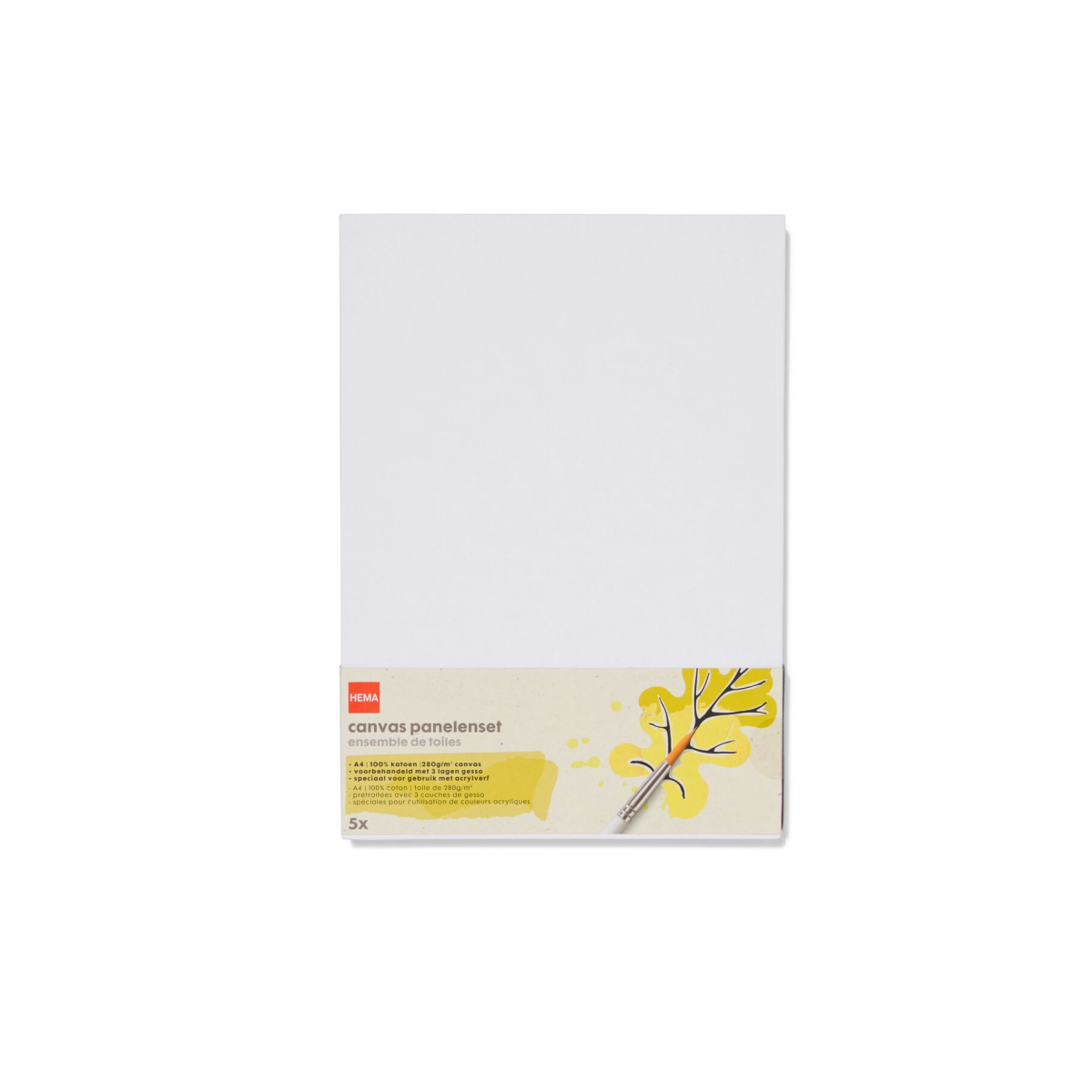 HEMA Canvas panelenset A4 - 5 stuks