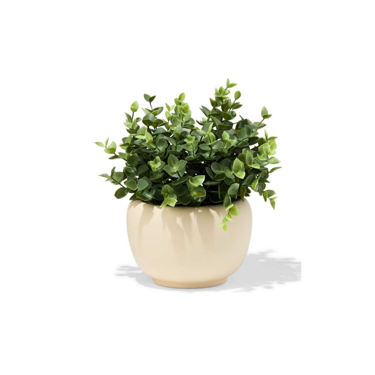 HEMA HEMA Bloempot ⌀10x10.4cm Keramiek Crème (creme)