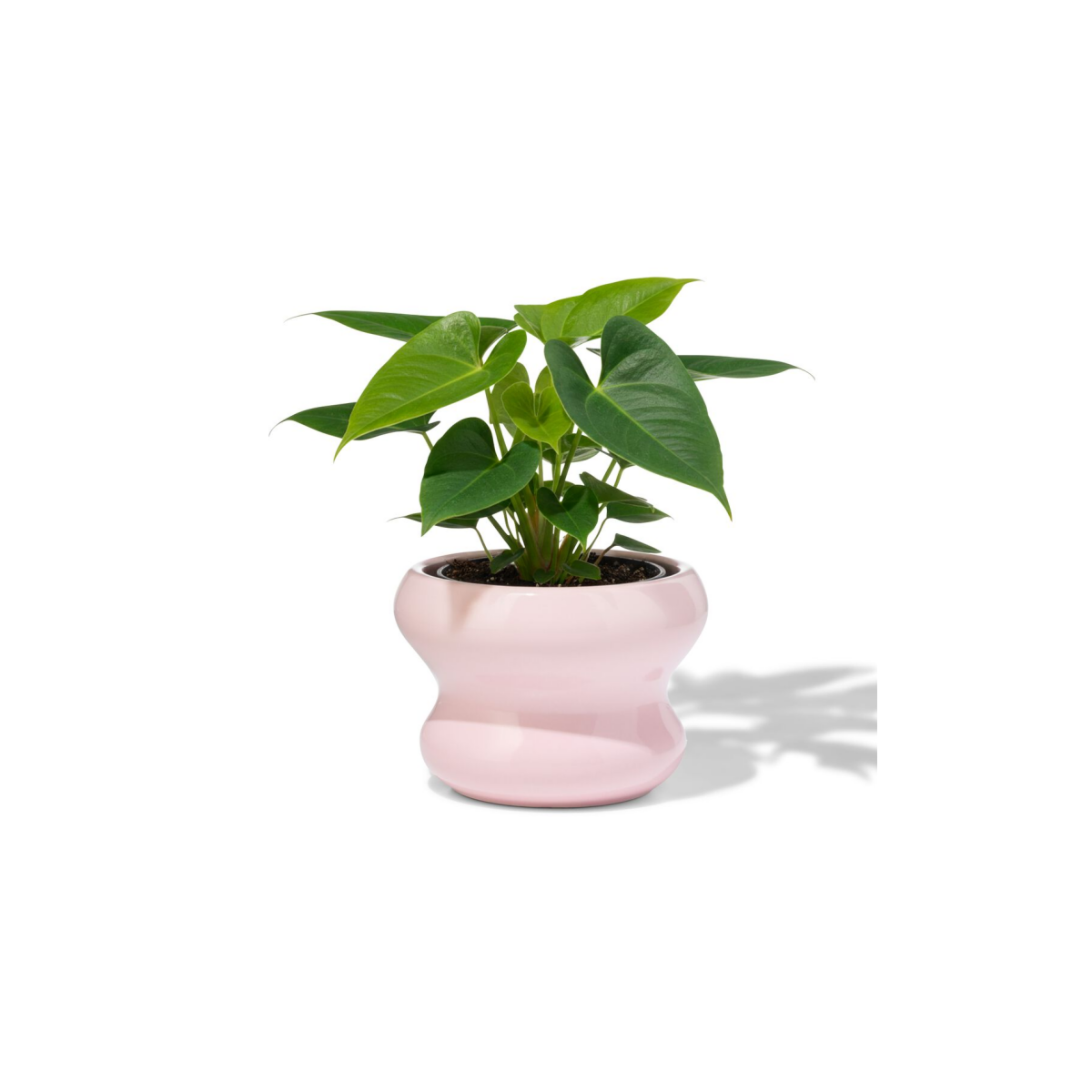HEMA HEMA Bloempot ⌀13x9cm Keramiek Blob Spikkel Roze (roze)