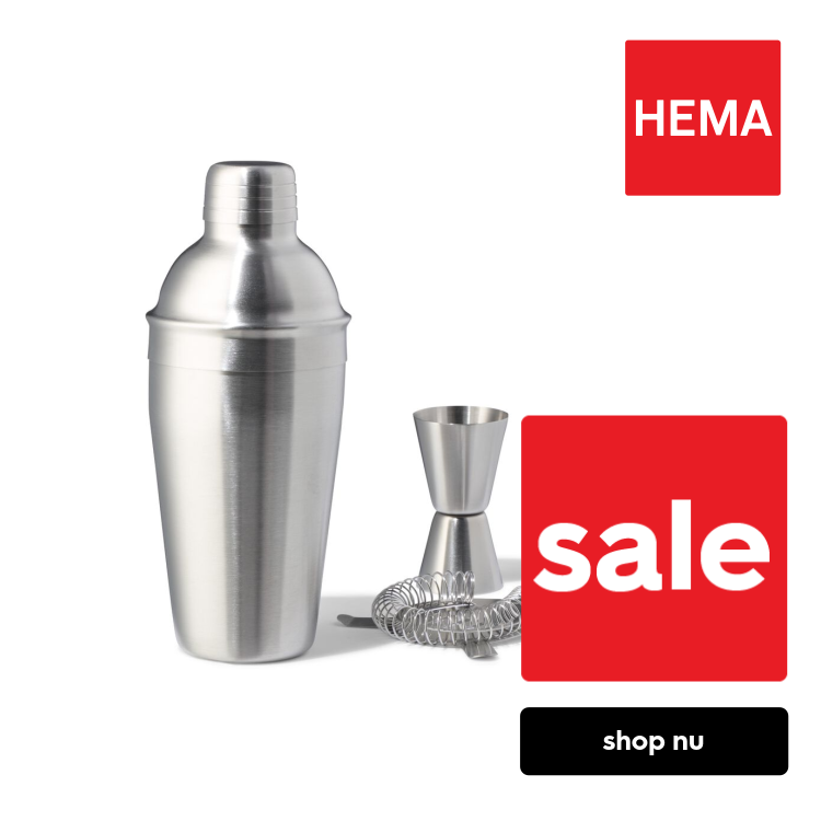 HEMA Cocktailshaker set 500ml rvs