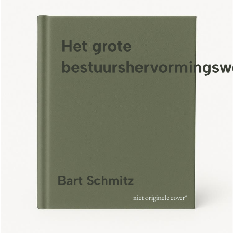 Bart Schmitz Het Grote Bestuurshervormingswerk