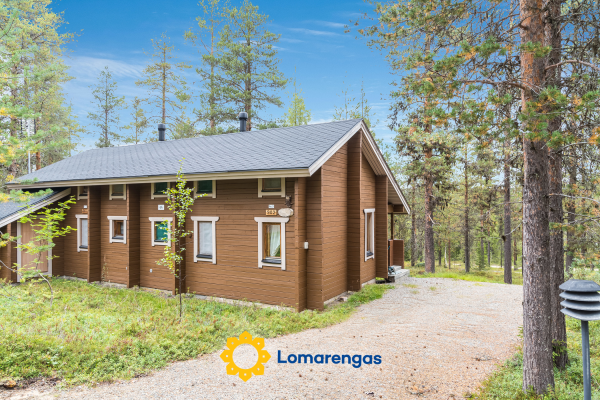 Tunturipöllö (huoneisto 902)