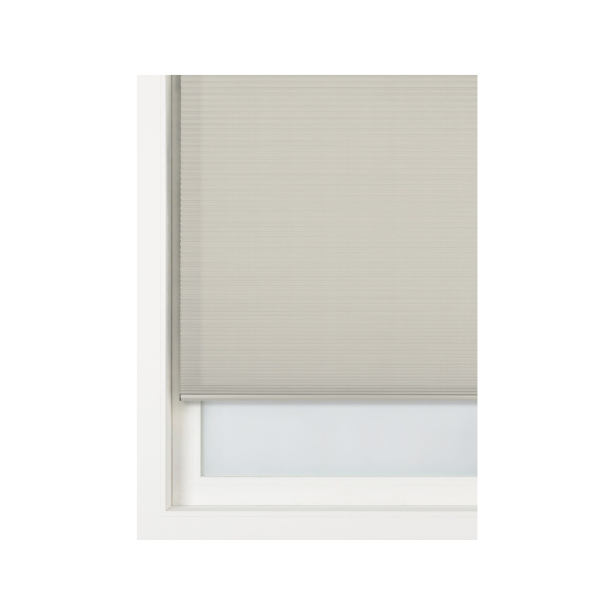 HEMA HEMA Plisse Dubbel Lichtdoorlatend Witte Achterzijde Lichtgrijs (lichtgrijs)