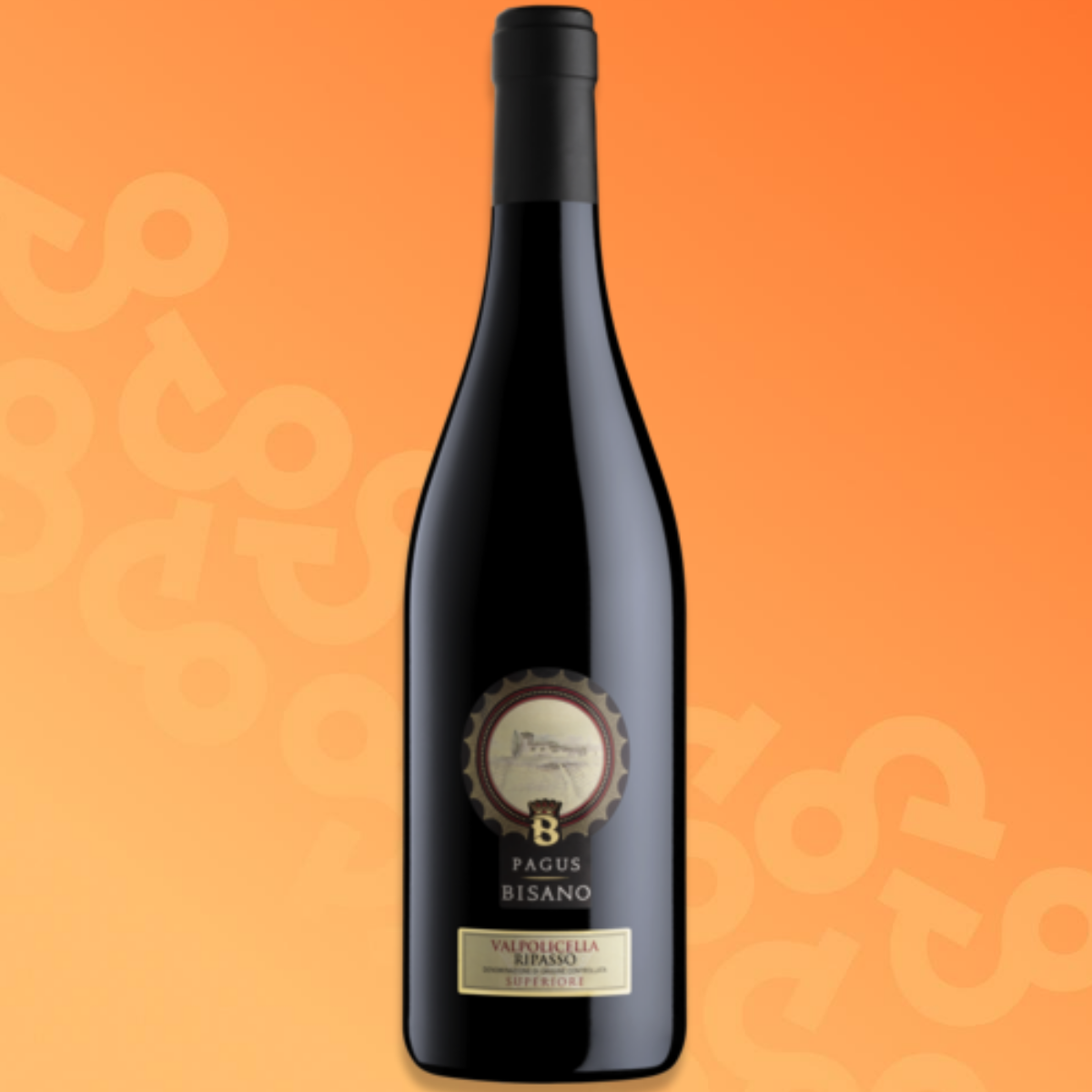 Demi-bouteille Pagus Bisano Valpolicella Ripasso Superiore 37,5 cl