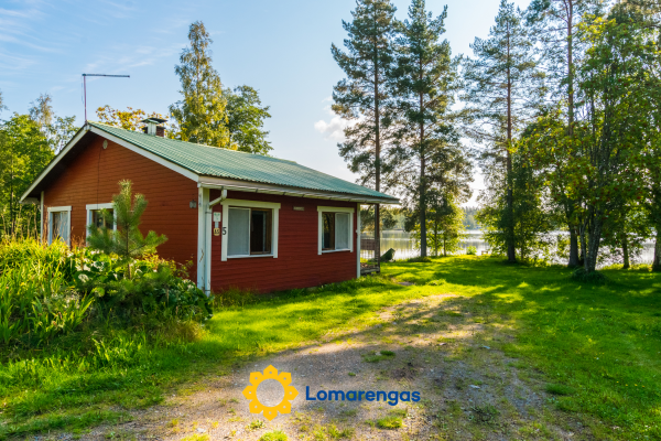 Saniainen 5