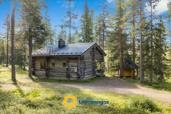 Ukkohermanni