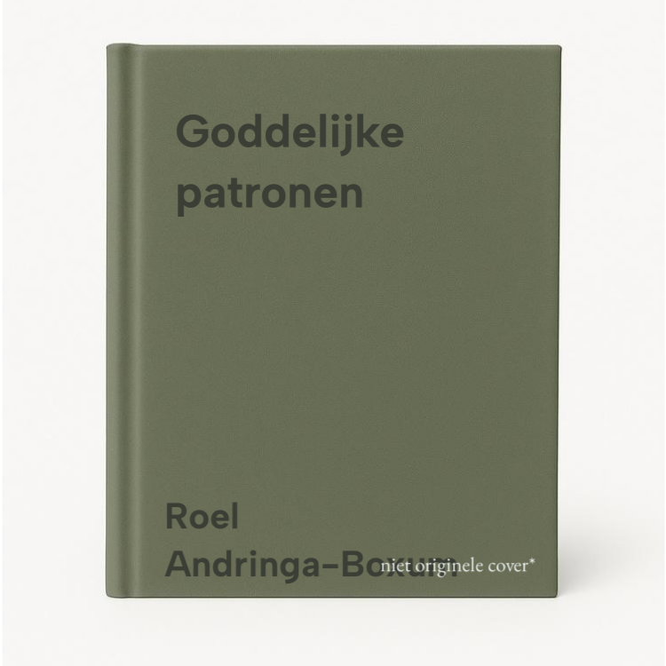 Roel Andringa-Boxum Goddelijke Patronen