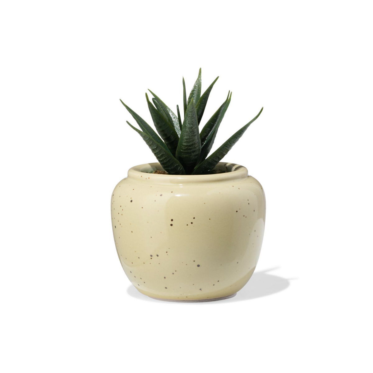 HEMA HEMA Bloempot ⌀7x6.6cm Keramiek Spikkels Beige (wit)