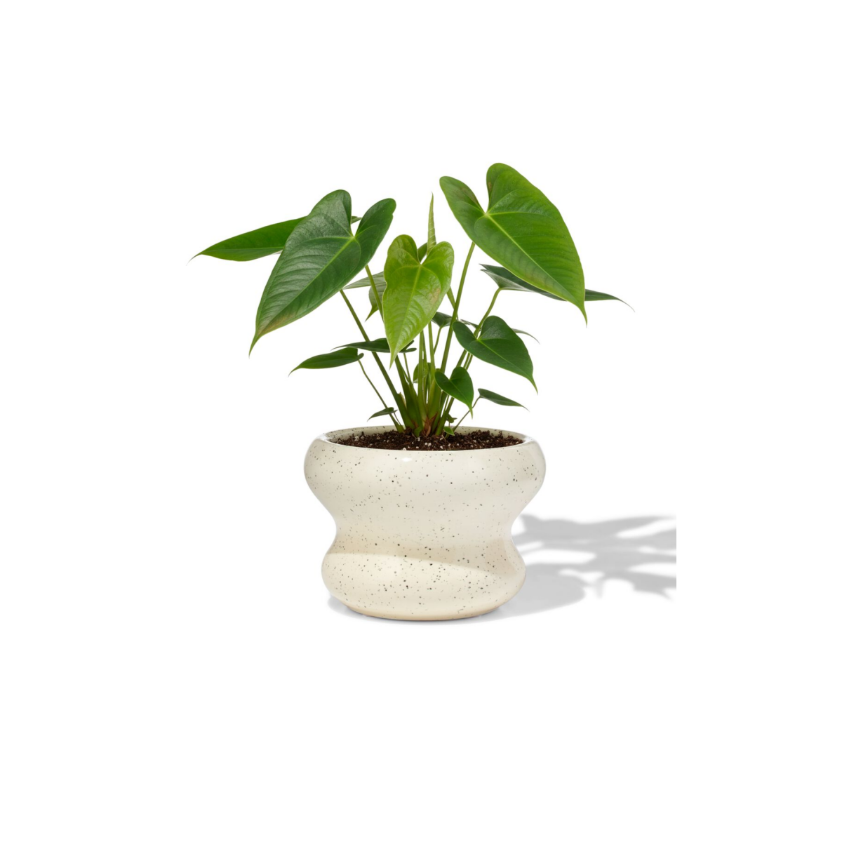 HEMA HEMA Bloempot ⌀13x9cm Keramiek Blob Spikkel Wit (wit)