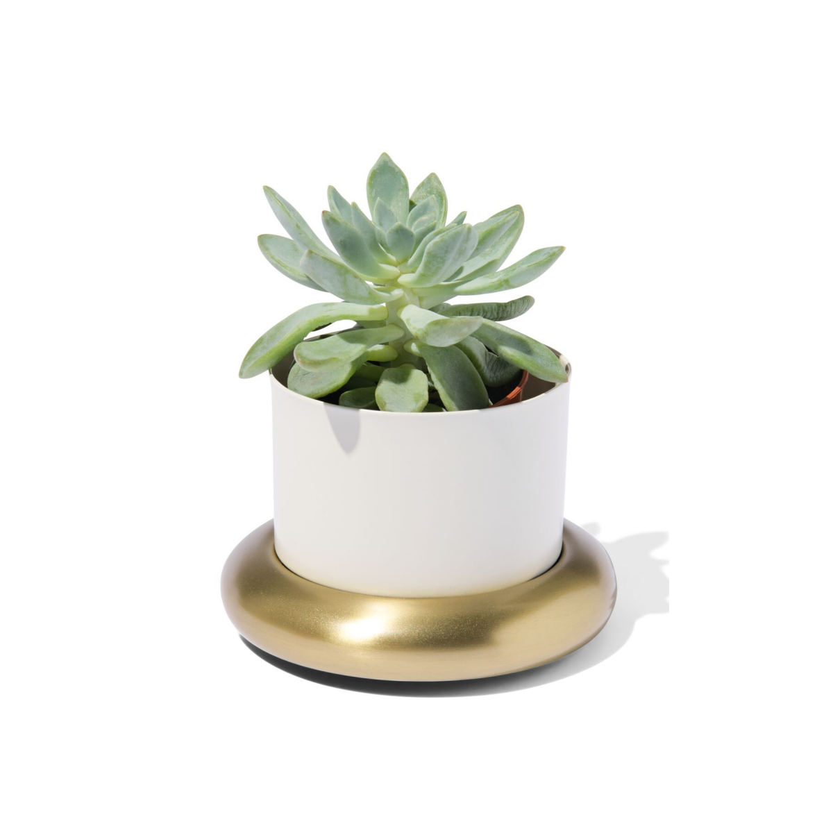 HEMA HEMA Bloempot Ø10x6.5cm Metaal Met Schotel Wit-goud (wit)