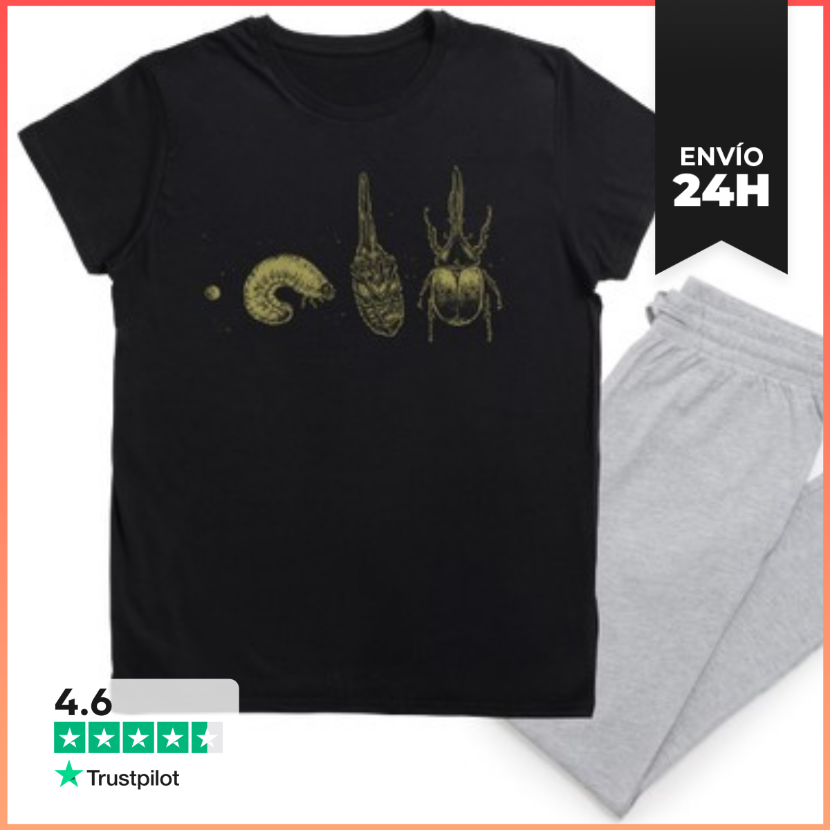Pijama Beetle Life Cycle LaTostadora