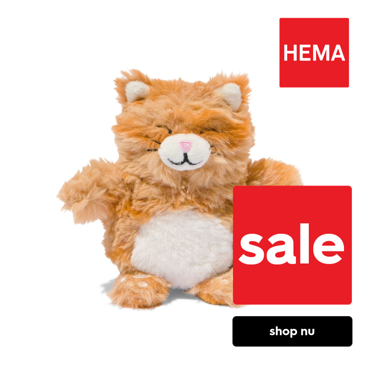 HEMA Omkeerbare knuffel 16cm kat-leeuw