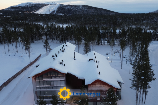 Röllimetsä d 11