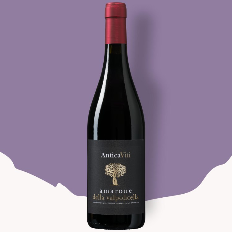 Antica Viti Amarone della Valpolicella 2022