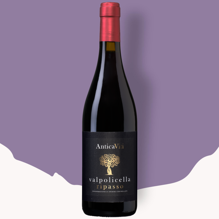Antica Viti Valpolicella DOC Ripasso 2023