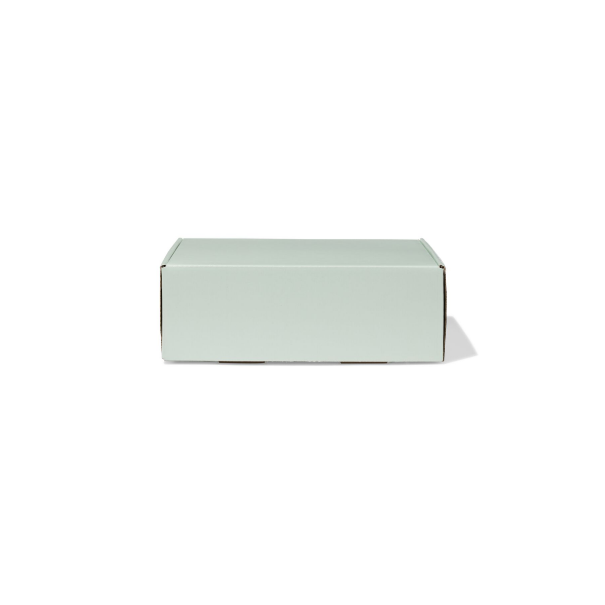 HEMA HEMA Verzenddozen 24x17x8cm Karton Lichtgroen - 3 Stuks
