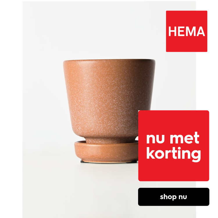 HEMA Bloempot ⌀8x8cm keramiek terra (oranje)
