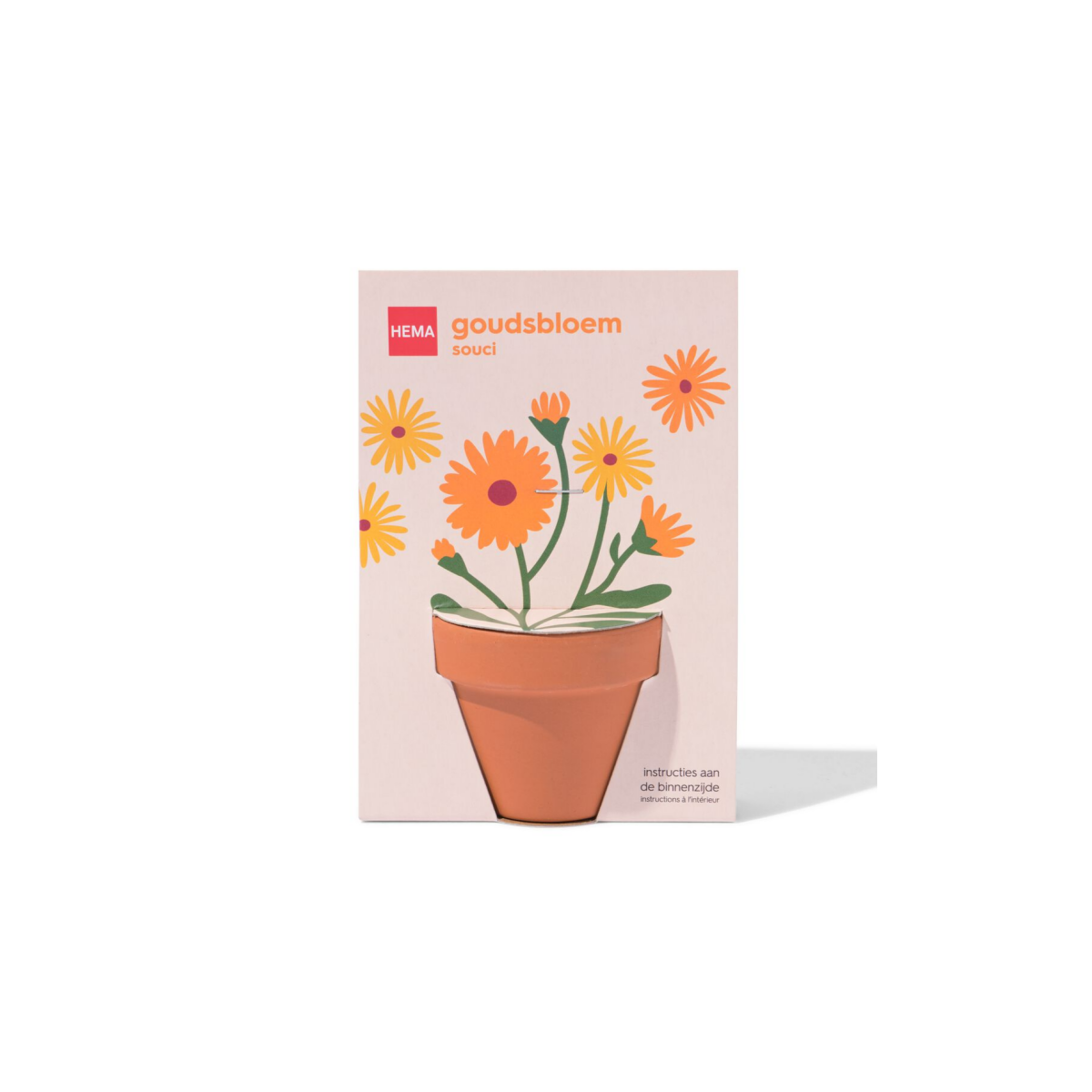 HEMA Groeipot goudsbloem