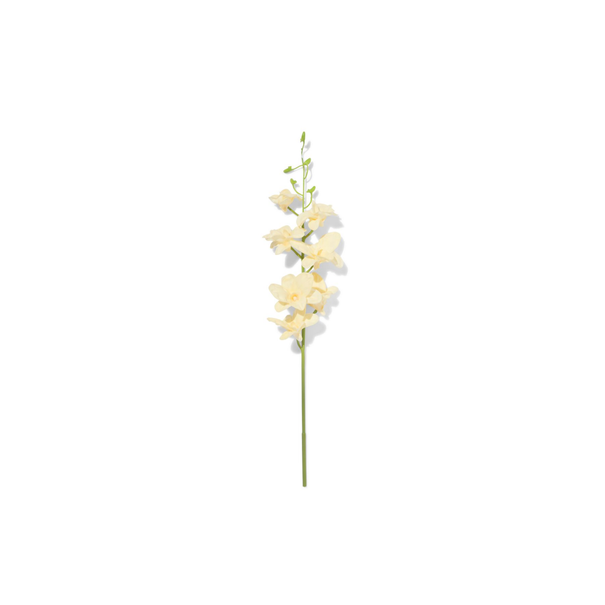 HEMA HEMA Kunstbloem Dendrobium 55cm Rubber Wit (wit)