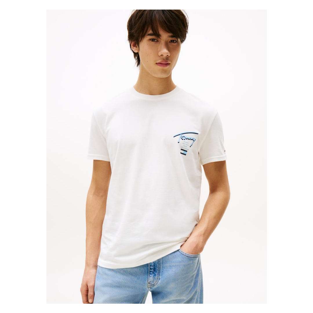 Tommy Jeans Herren T-Shirt Dm0dm21934 günstig online kaufen