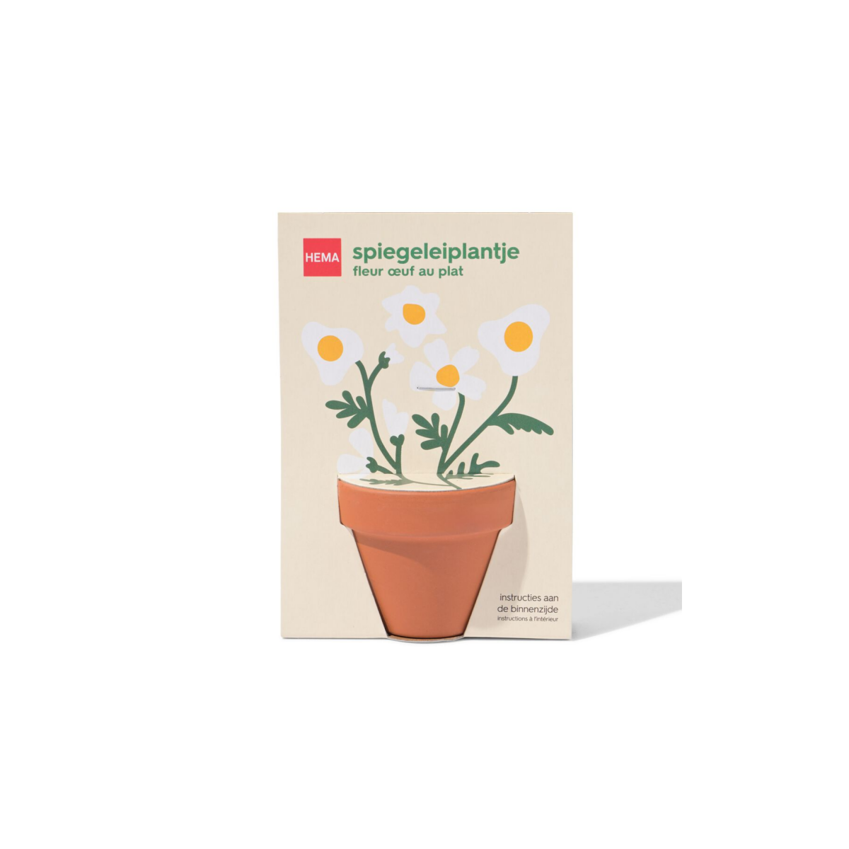 HEMA Groeiplant spiegeleiplantje