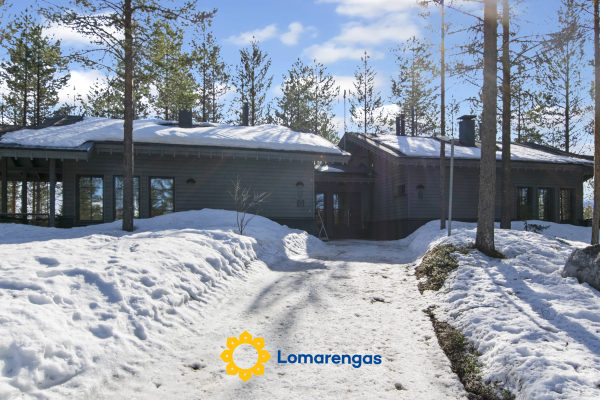Tunturipöllö 4