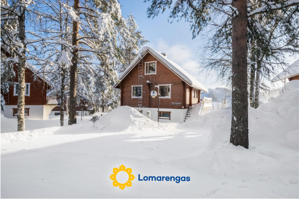 Alppikylä 3b paritalo