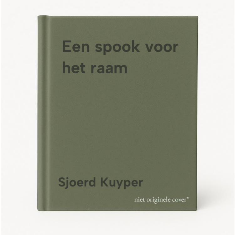 Sjoerd Kuyper Een Spook Voor Het Raam