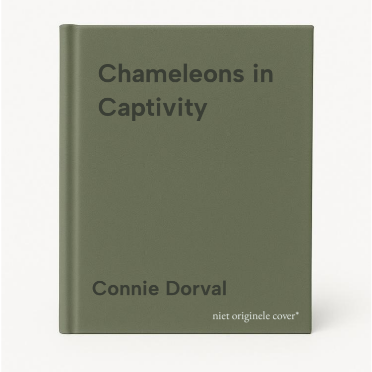 Connie Dorval Chameleons In Captivity