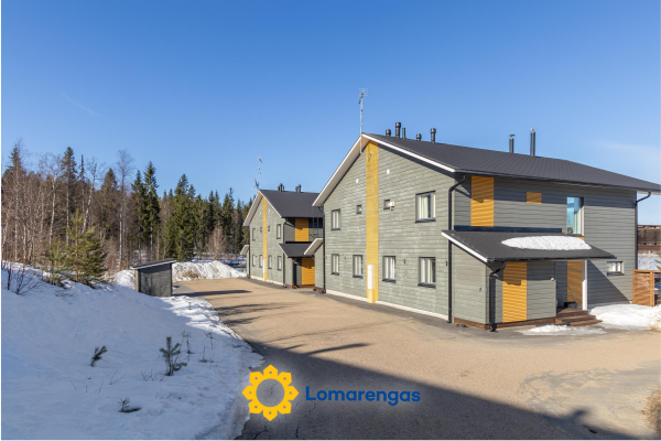 Hallan karhu b, paritalo