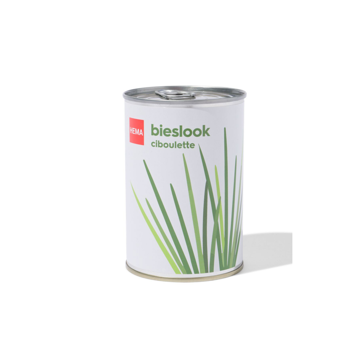 HEMA Groeiblik bieslook