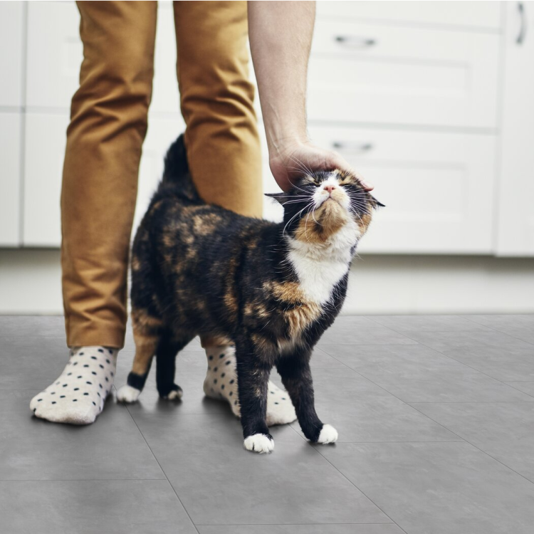 Dalle rectangulaire de sol PVC effet béton clipsable manhattan clear Gerflor - 72.87 cm x 38.88 cm x 0.42 cm