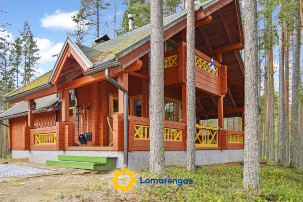 Villa käpytikka